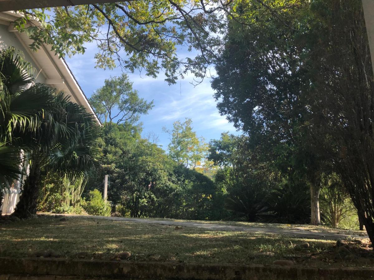 벤투곤살베스 Casa No Meio Da Natureza! 아파트 외부 사진